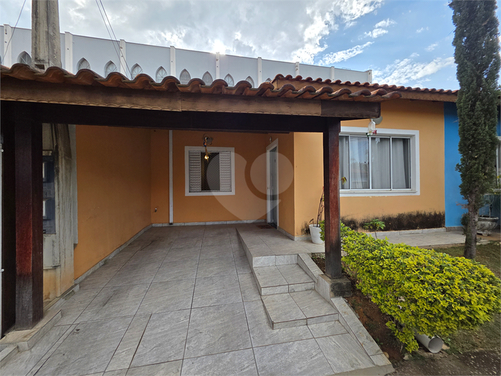 Foto REO1119389