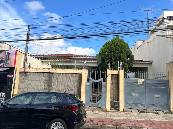 Foto REO1119397