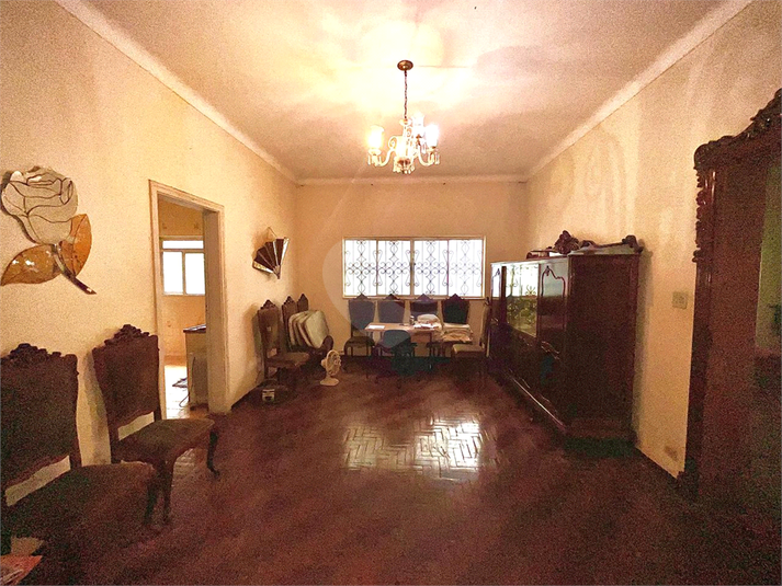 Foto REO1119397