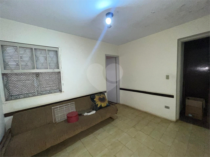Foto REO1119397