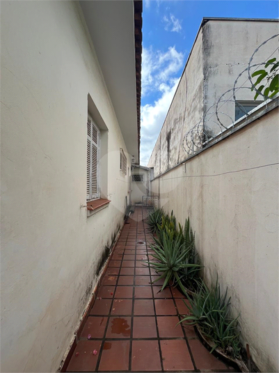 Foto REO1119397
