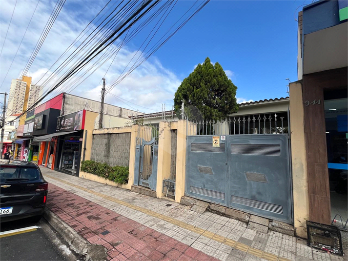 Foto REO1119397