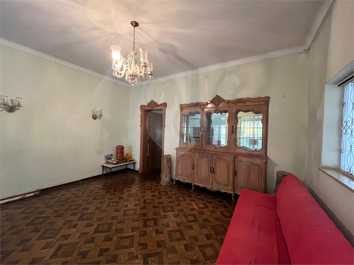 Foto REO1119397