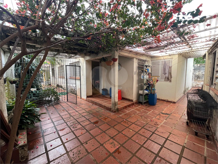 Foto REO1119397