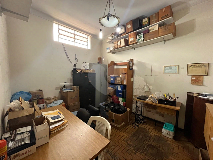 Foto REO1119397