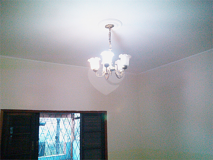 Foto REO1119403