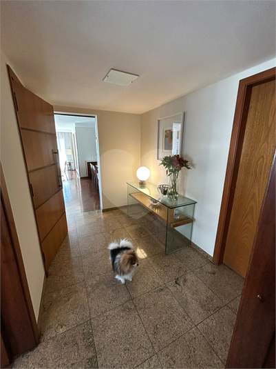 Foto REO1119404