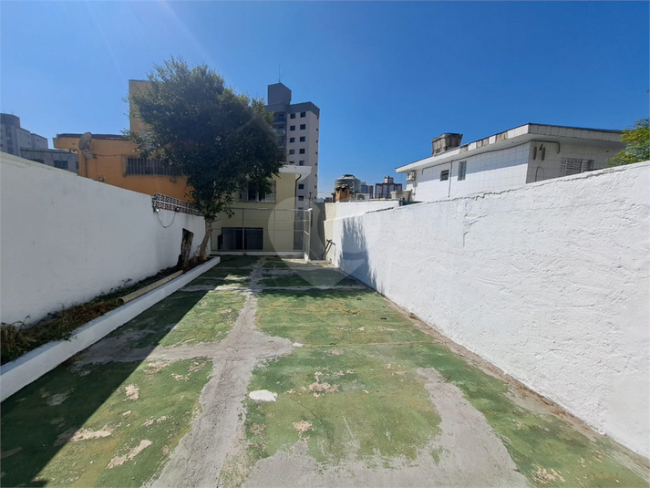 Foto REO1119405