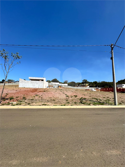 Foto REO1119406