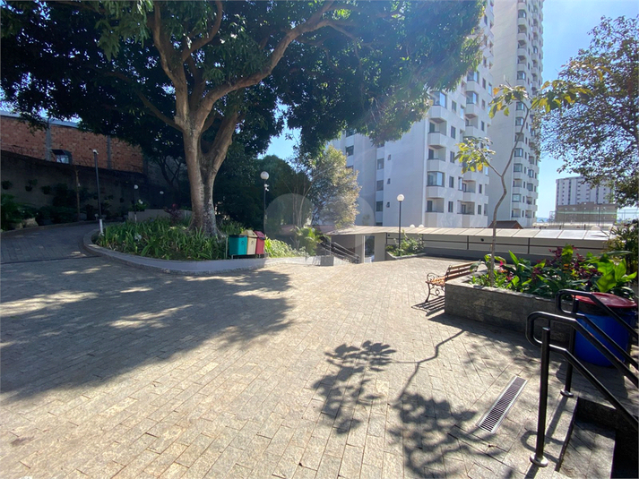 Foto REO1119407