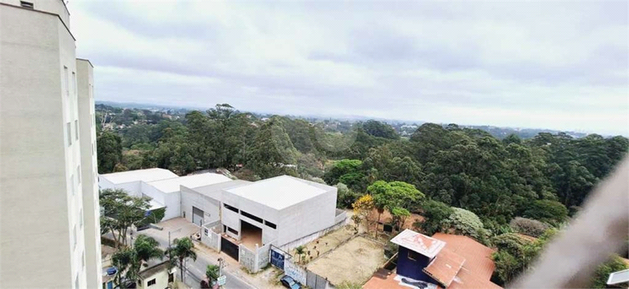 Foto REO1119411
