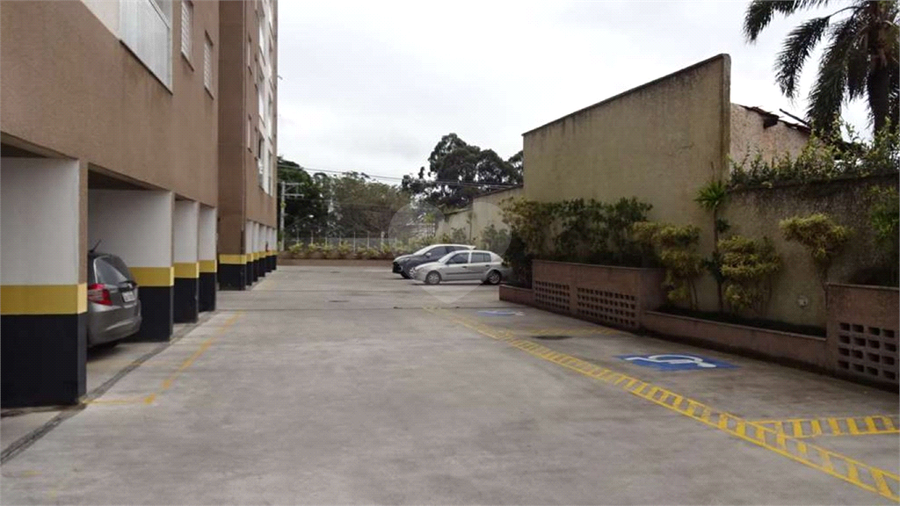 Foto REO1119411