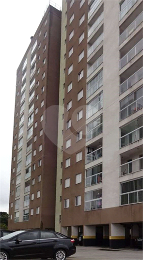 Foto REO1119411