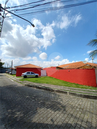 Foto REO1119419