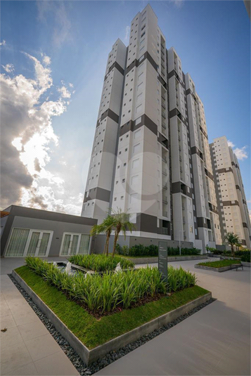 Foto REO1119421