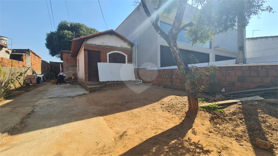 Foto REO1119425