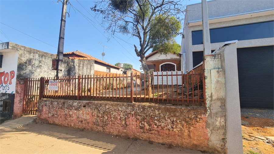 Foto REO1119425