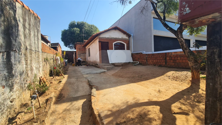 Foto REO1119425