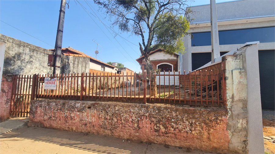 Foto REO1119425