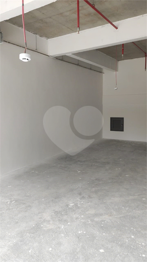 Foto REO1119426