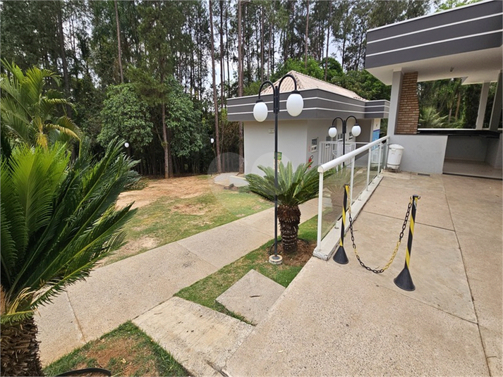 Foto REO1119439