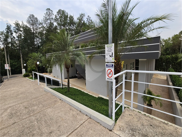 Foto REO1119439