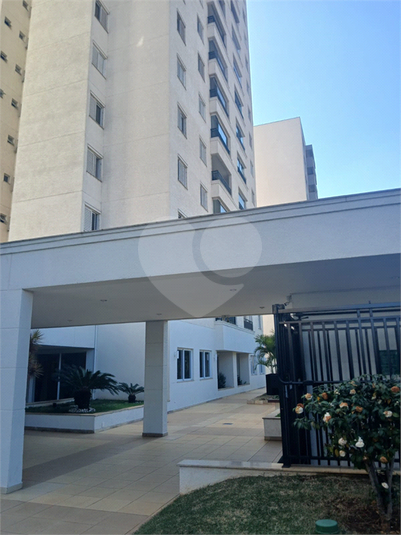 Foto REO1119443