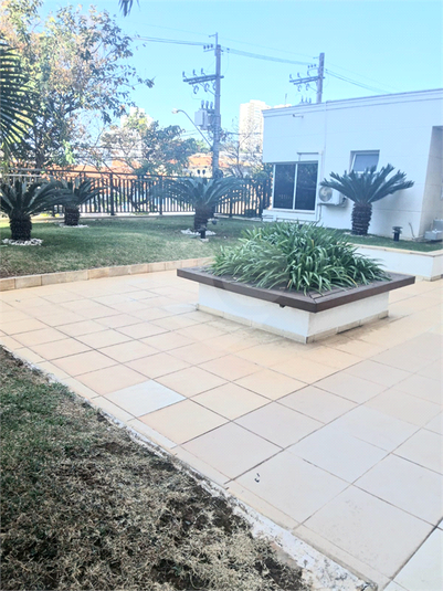 Foto REO1119443