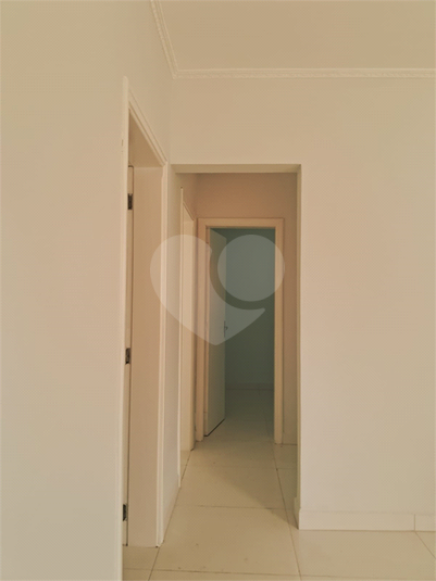Foto REO1119446