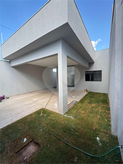 Foto REO1119461