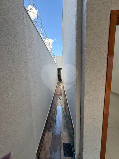 Foto REO1119461