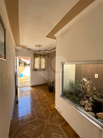 Foto REO1119463