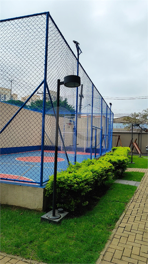 Foto REO1119467