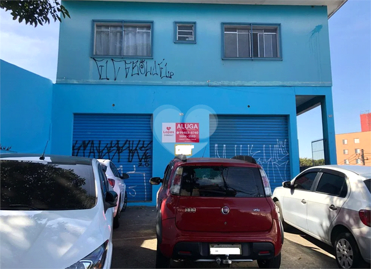Foto REO1119470