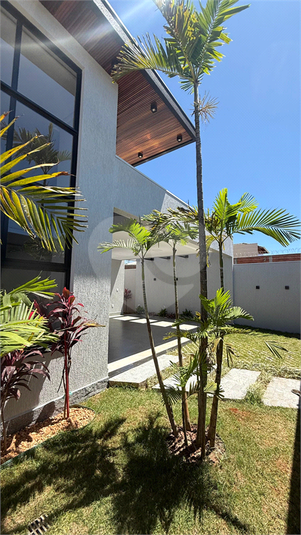 Foto REO1119471