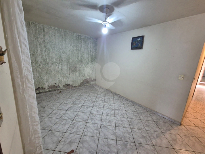 Foto REO1119475