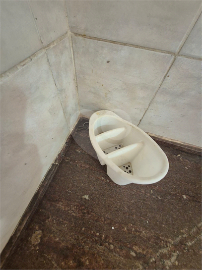 Foto REO1119475