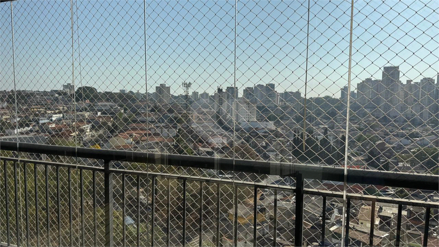 Foto REO1119478