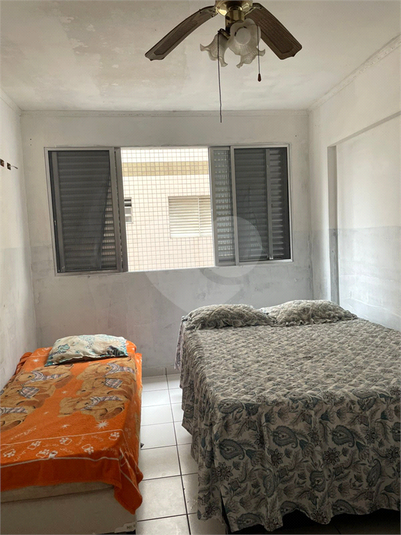 Foto REO1119482