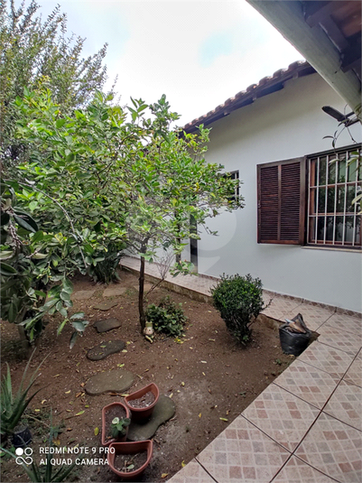 Foto REO1119492