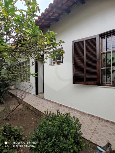 Foto REO1119492