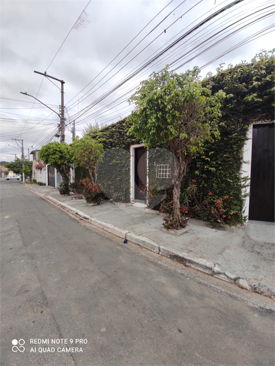 Foto REO1119492