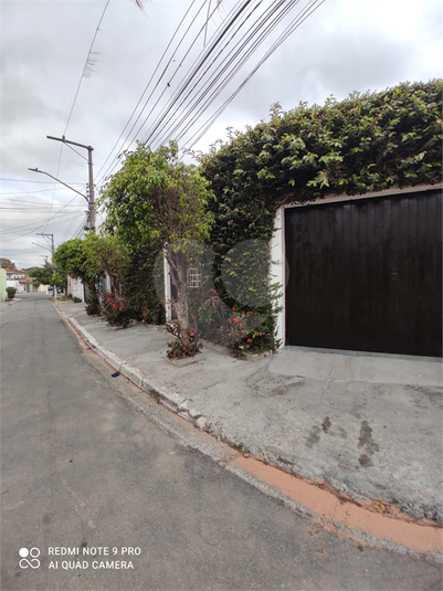 Foto REO1119492