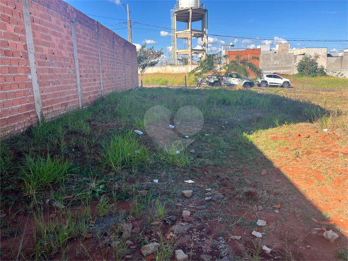 Foto REO1119499