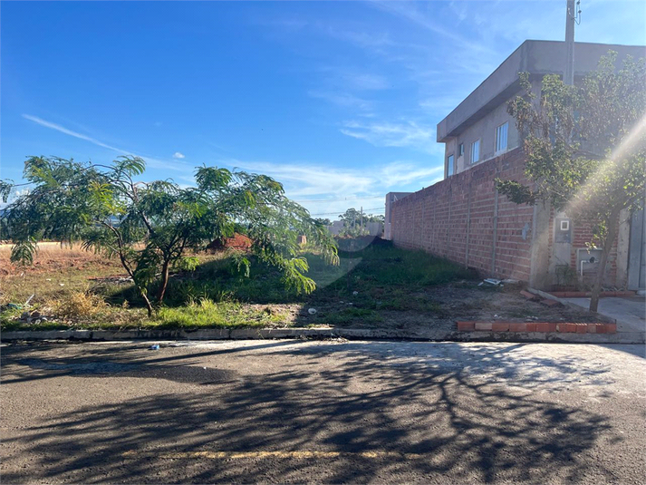 Foto REO1119499