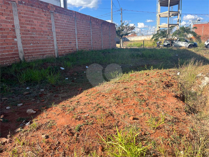Foto REO1119499