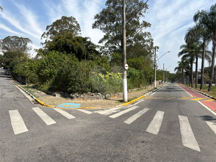 Foto REO1119503