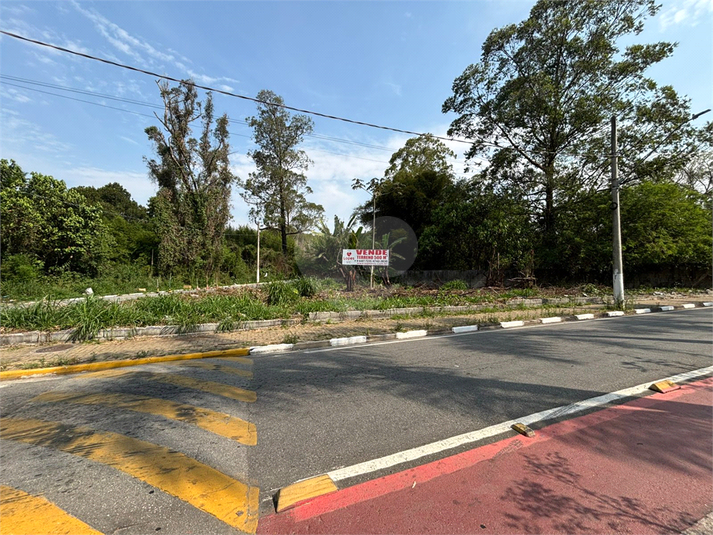 Foto REO1119503