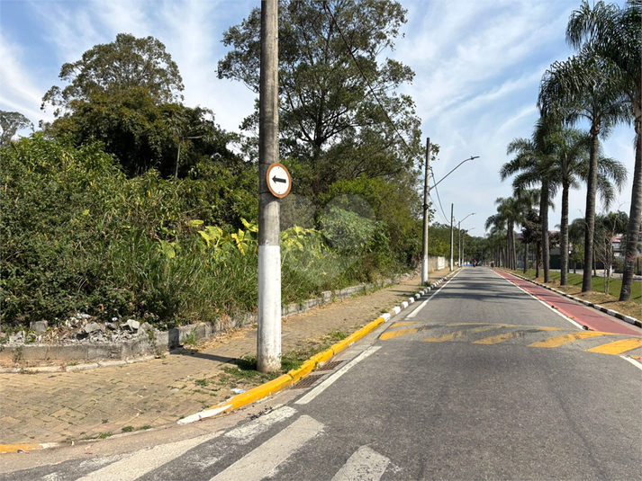 Foto REO1119503
