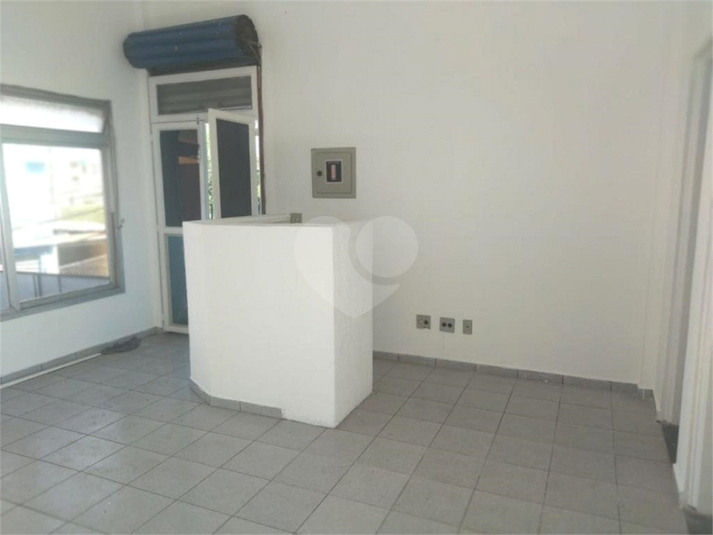 Foto REO1119508